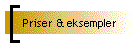 Priser & eksempler